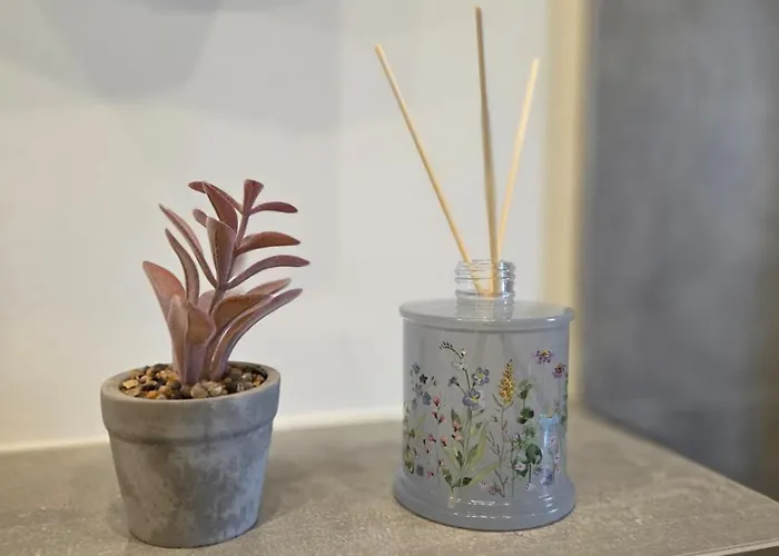 公寓 Rheinblick Kaiser Wilhelm